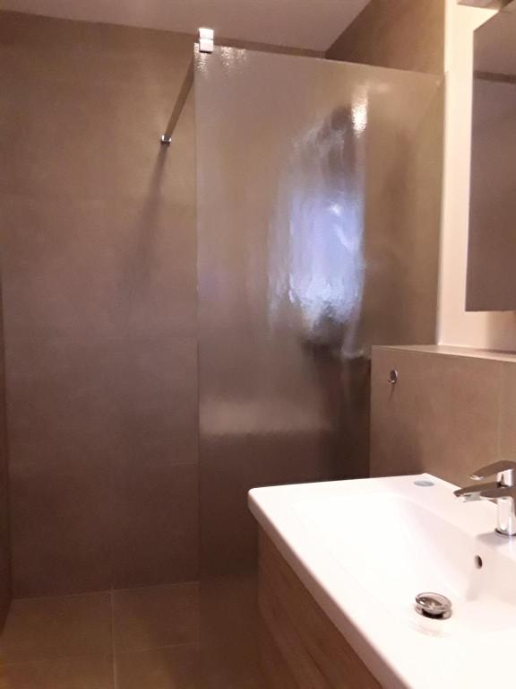 ein Bad mit einer Dusche, einem Waschbecken und einer Theke in der Unterkunft Gästezimmer Herzogenrath in Herzogenrath