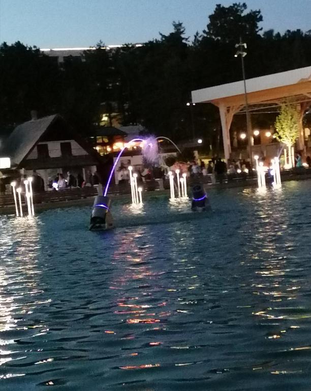 Standardna soba Zlatibor centar 205 - Resim 13