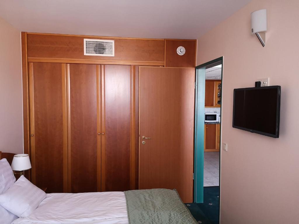 TV a/nebo společenská místnost v ubytování Palast Wellness Appartement