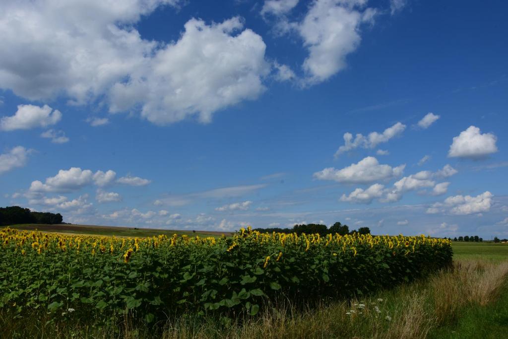 Příroda nedaleko apartmánu