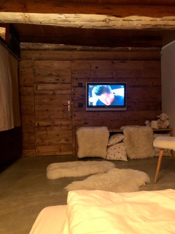 TV a/nebo společenská místnost v ubytování La Stalla