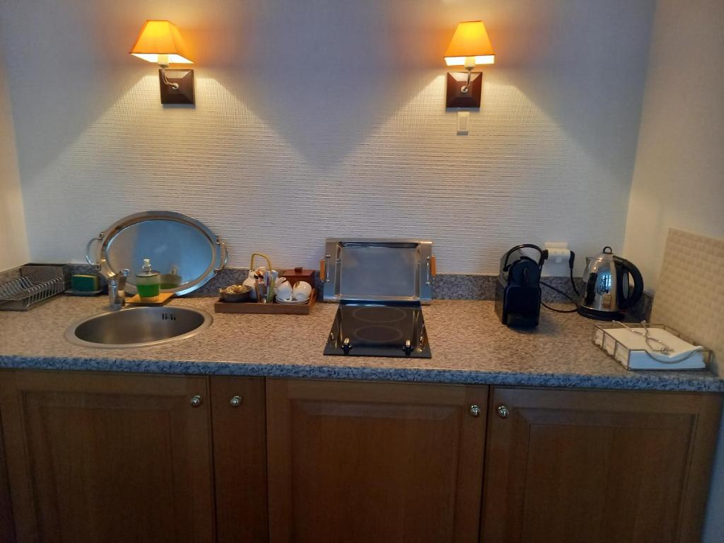 Kuchyň nebo kuchyňský kout v ubytování Beaune City Suite