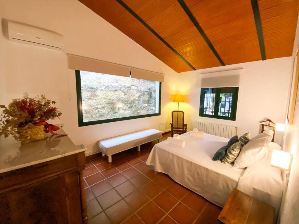 ein Schlafzimmer mit großem Bett und Fenster in der Unterkunft La Buganvilla in Córdoba