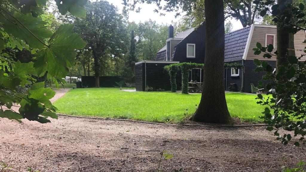 de boshut