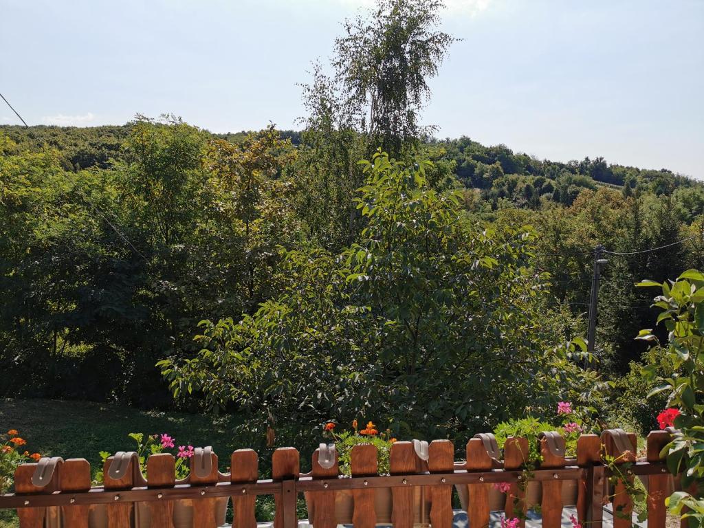 Przyroda w pobliżu tego apartamentu