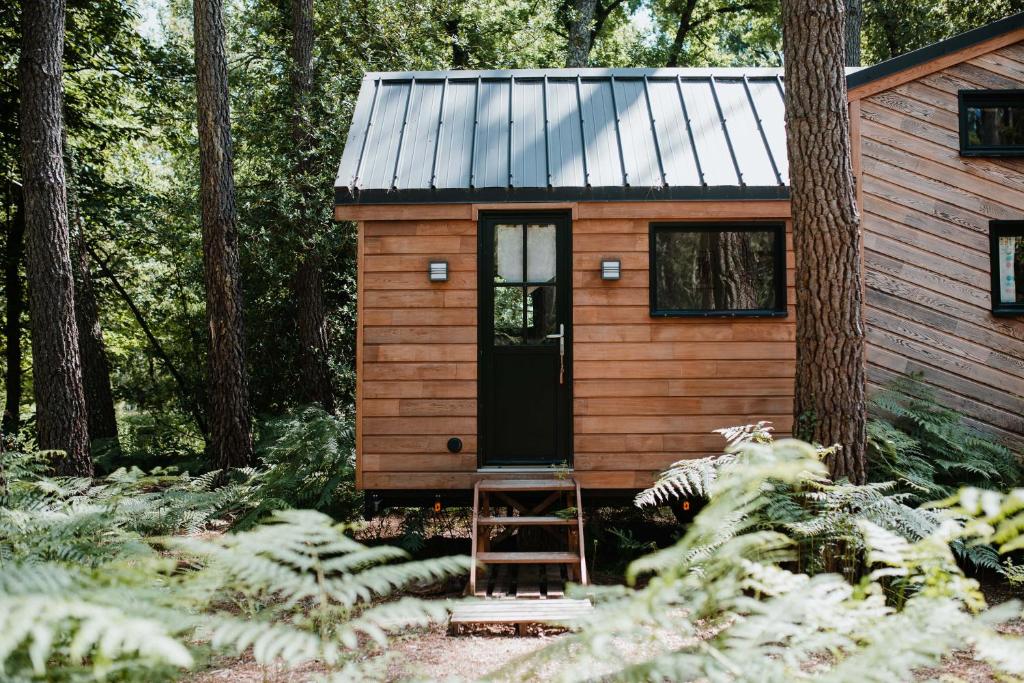 une petite maison dans les bois avec une échelle dans l'établissement Tiny Stay - Ecolodge, à Clefs