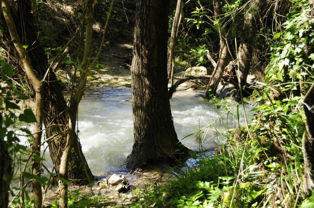 Derechos de imagen reservados por Booking.com