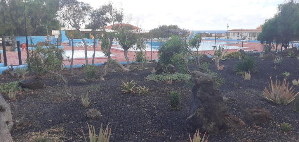 Bazén v ubytovaní Apartamento Costa de Antigua cerca de Caleta de Fuste alebo v jeho blízkosti