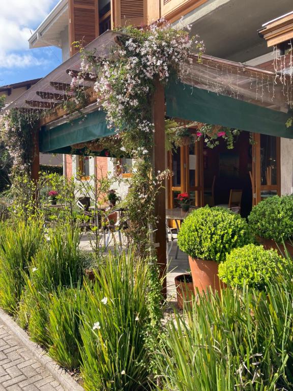 Zahrada ubytování Hotel Boutique Britanico