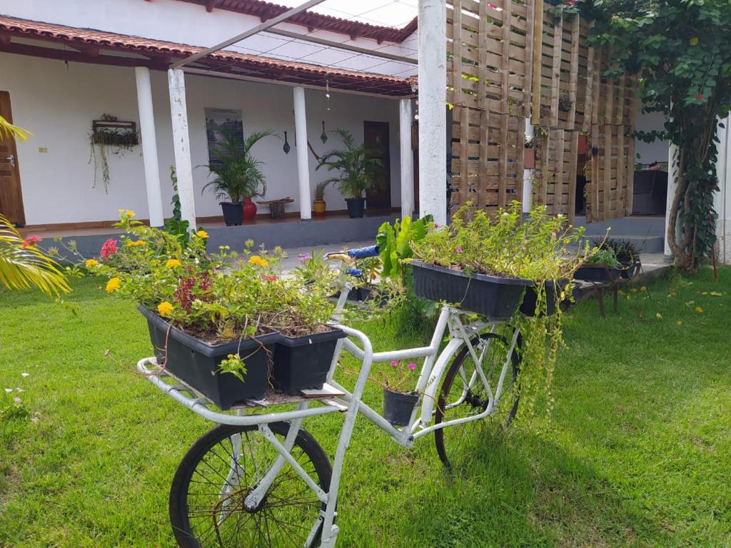 a bike parked in the grass with pots of plants at Pousada Águas da Chapada in Carolina