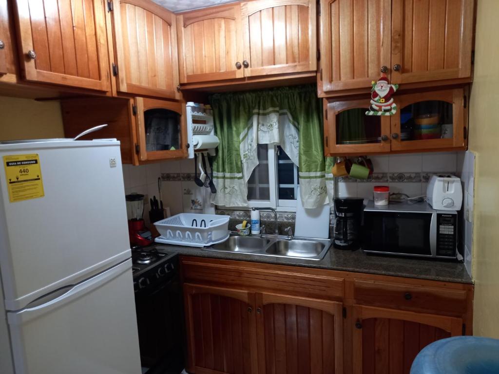 Kuchyň nebo kuchyňský kout v ubytování Nicol Aparment