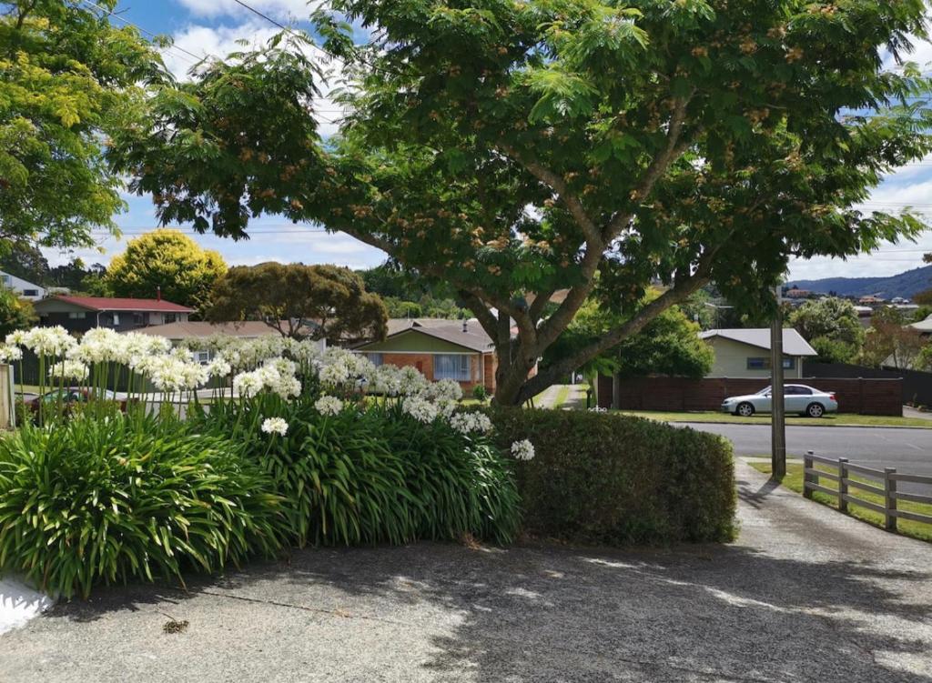 Spacious Utuhina holiday House - Resim 33