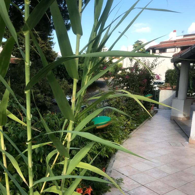A garden outside Villetta Romeo Casavacanze