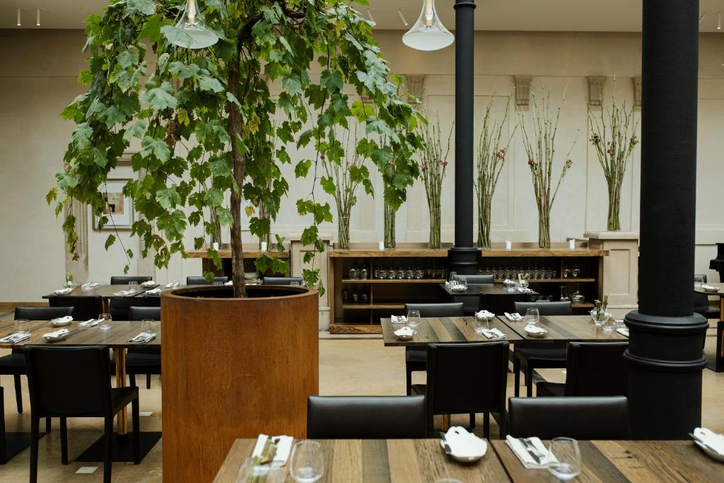 Hotel Pod Róza - Resim 9