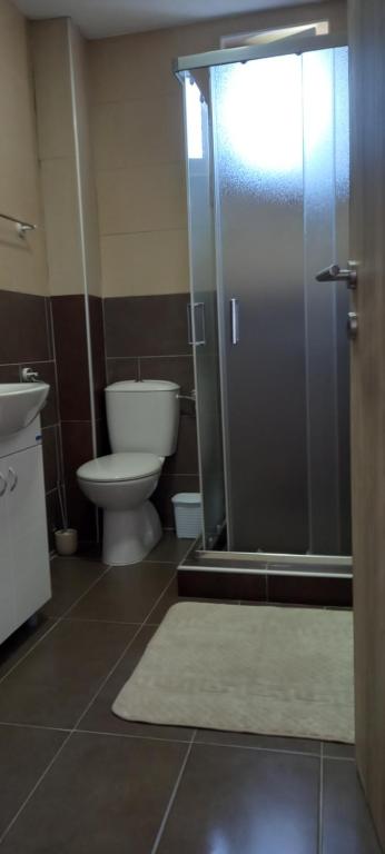 Koupelna v ubytování Apartman Ramonda Vrnjacka banja