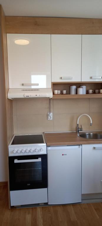 Kuchyň nebo kuchyňský kout v ubytování Apartman Ramonda Vrnjacka banja