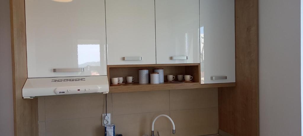 Kuchyň nebo kuchyňský kout v ubytování Apartman Ramonda Vrnjacka banja