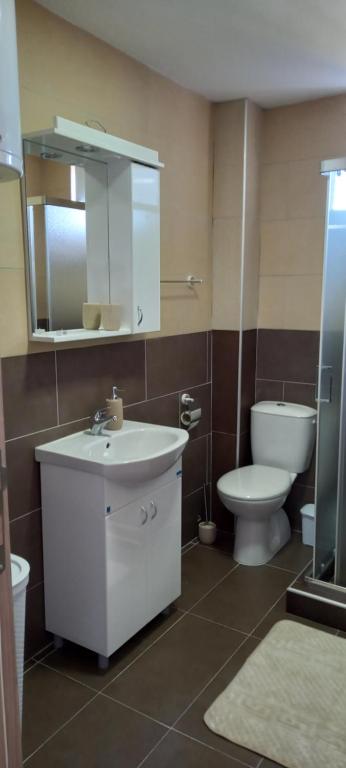 Koupelna v ubytování Apartman Ramonda Vrnjacka banja
