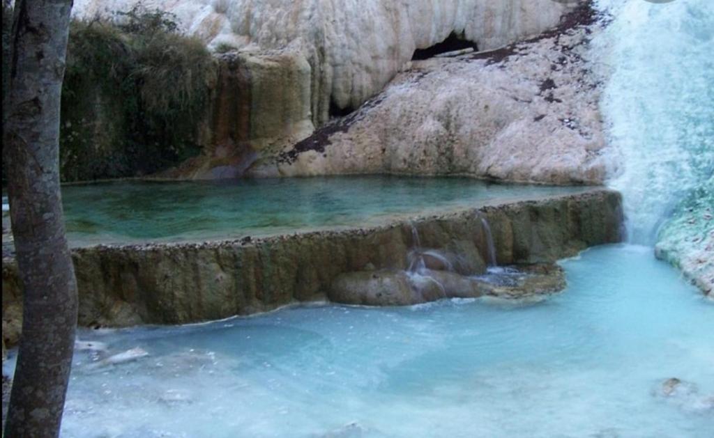 Przyroda w pobliżu tego domu wakacyjnego