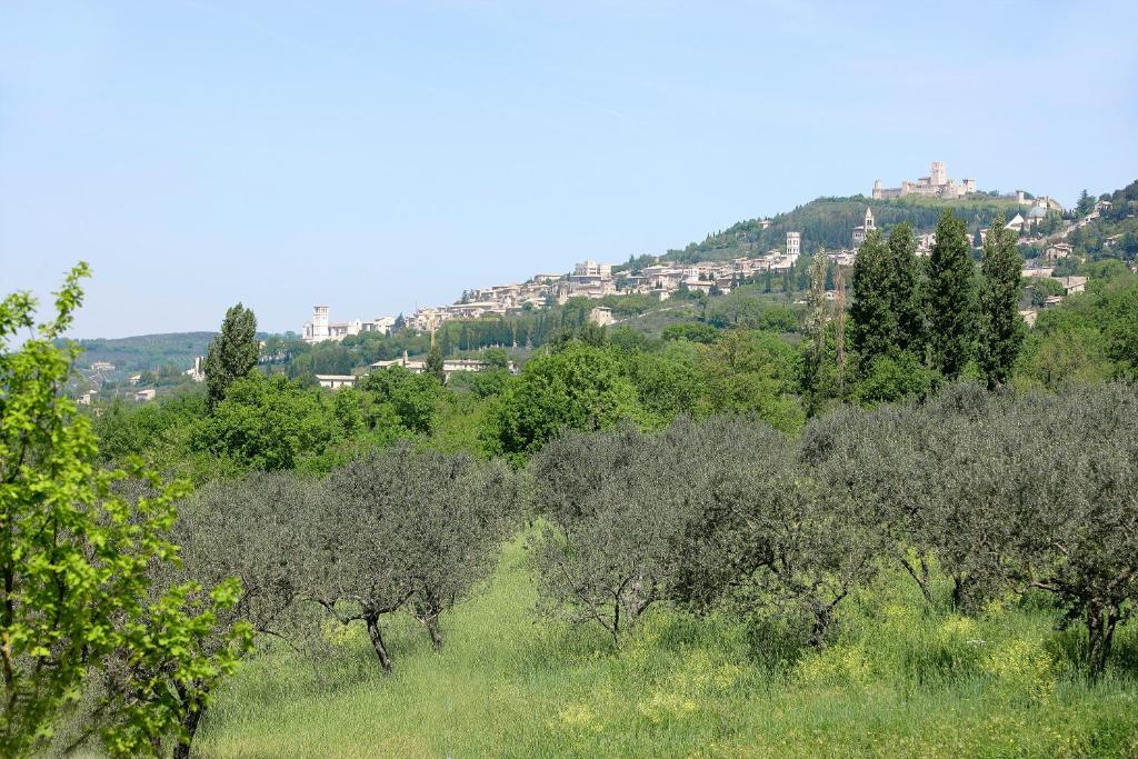 Country House Poggio Fiorito - 9