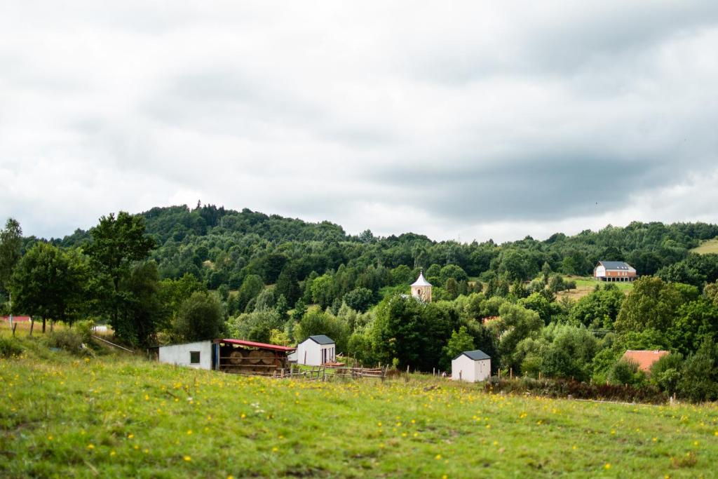uma encosta com um campo de relva e árvores em Osada Solasu em Złoty Stok
