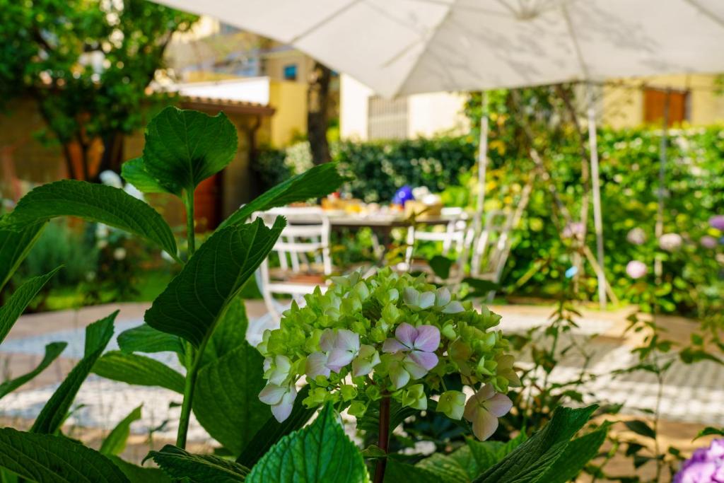Vonkajšia záhrada v ubytovaní Villa Manning Relais