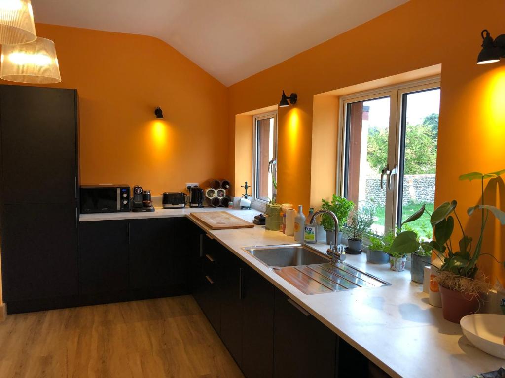 a kitchen with orange walls and a sink and a window at Lower Farm Lodge in Stowmarket