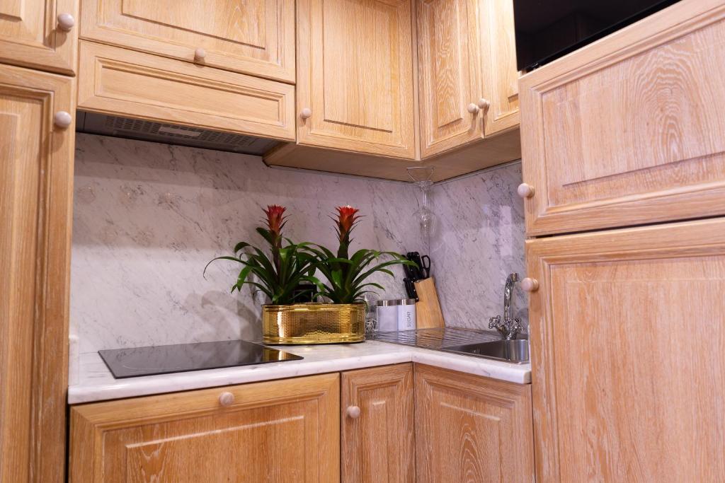 Babuino 79 - Resim 35