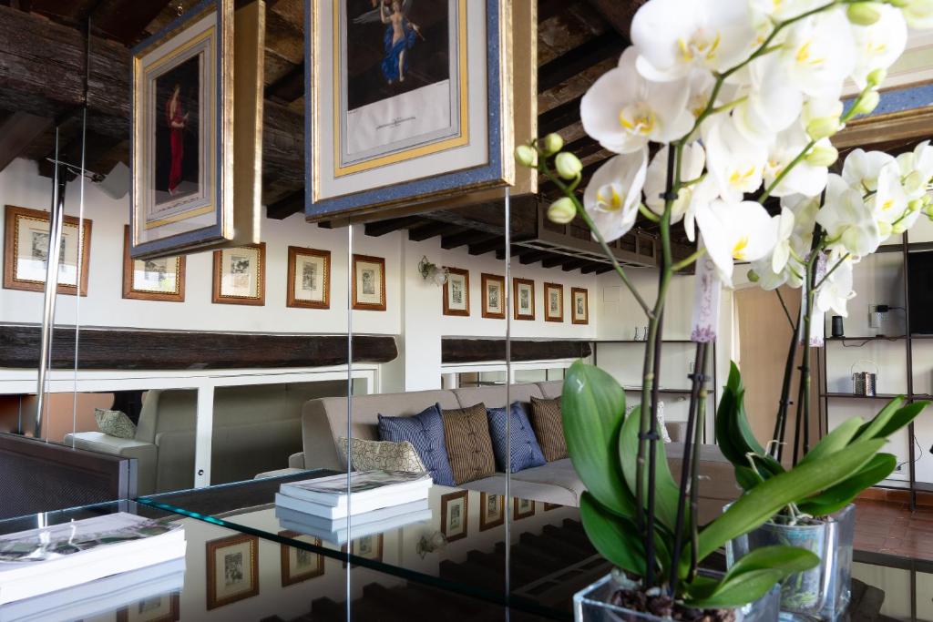 Babuino 79 - Resim 23