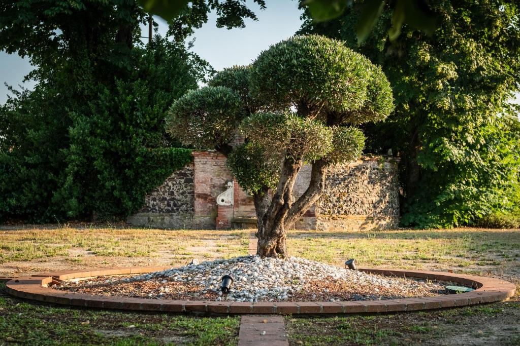 a tree sitting in a circle in a park at Résidence de Diane - Toulouse in Toulouse