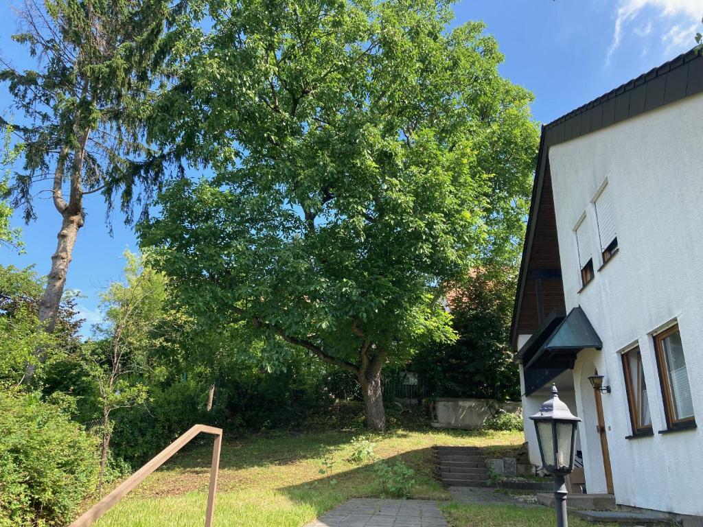 Zahrada ubytování Ferienwohnung Panorama