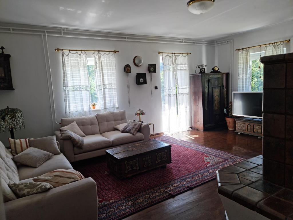 a living room with a couch and a tv at Holiday House Jasna in Kranjska Gora