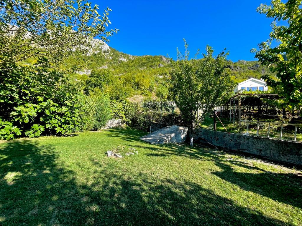 Příroda nedaleko apartmánu