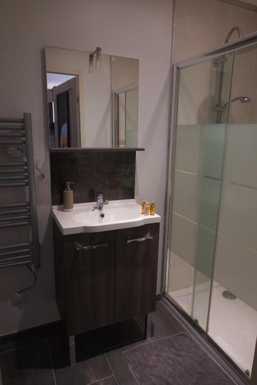 a bathroom with a sink and a shower at Duplex charmant idéalement situé in Dole