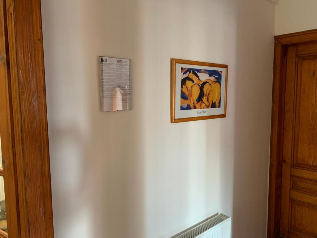 Apartment and rooms