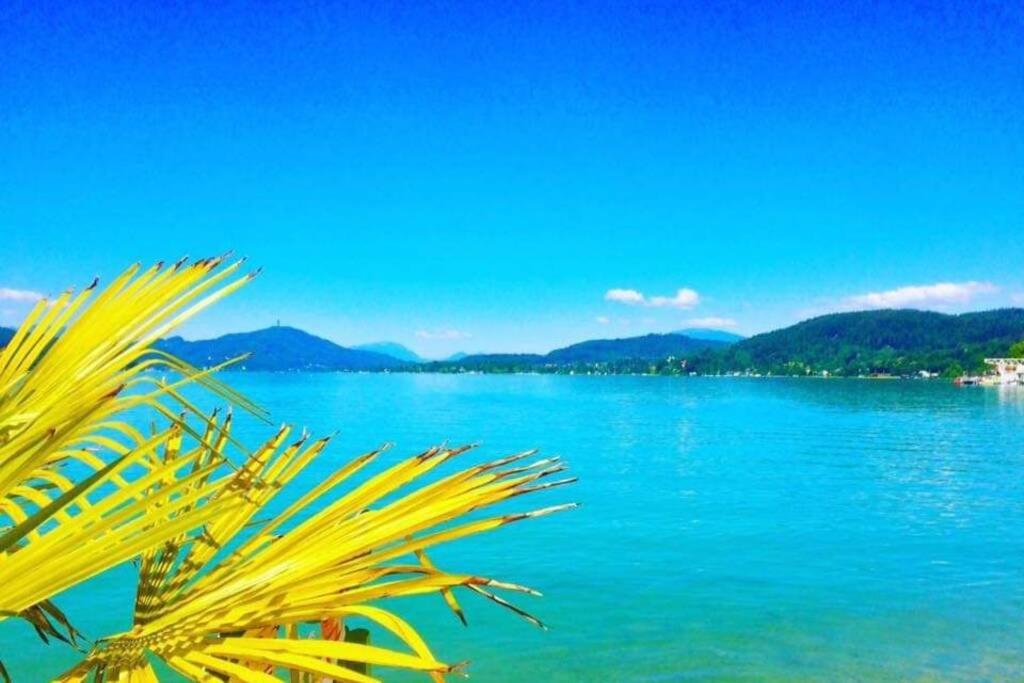 a view of the water with a palm tree in the foreground at Evita Wörthersee in Krumpendorf am Wörthersee