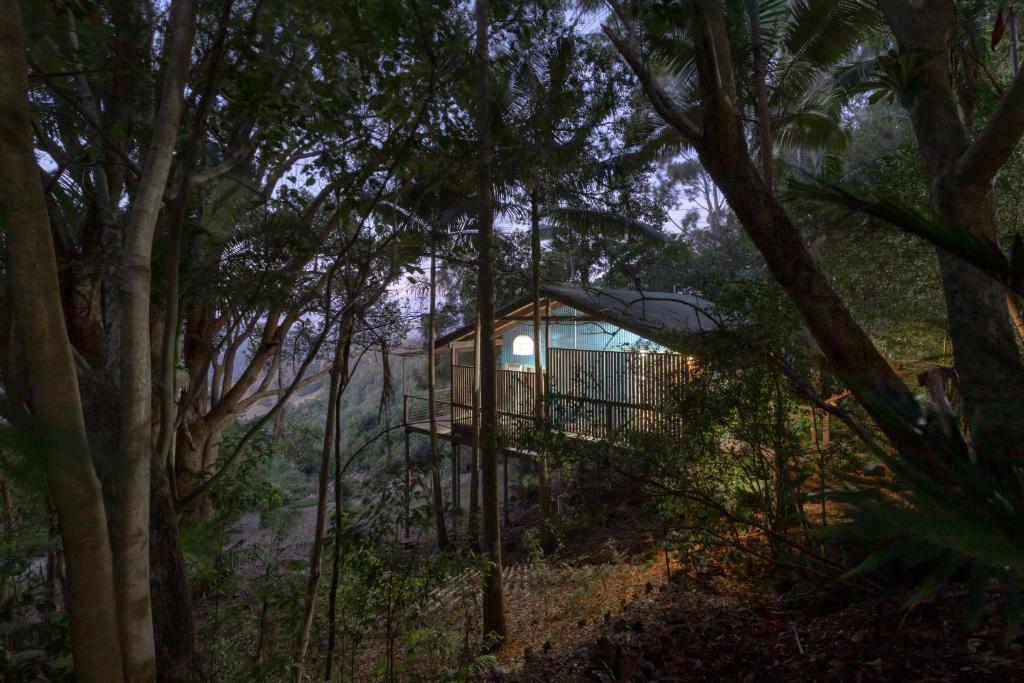 a tree house in the middle of the forest at Treetops Seaview Montville in Montville