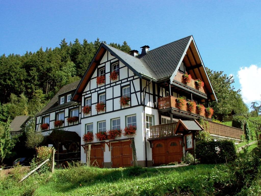 ein Haus mit Blumenkästen auf der Vorderseite in der Unterkunft Lauras Landhauspension in Medebach