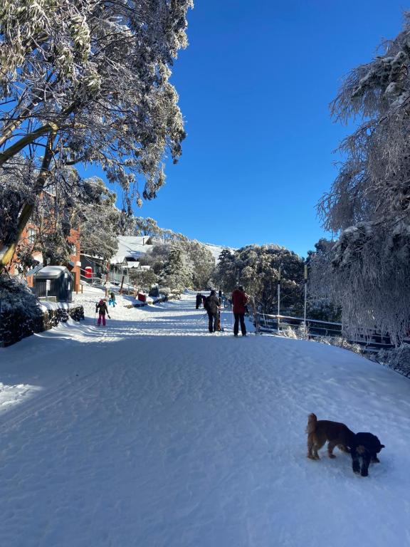 Feathertop Alpine Lodge зимой