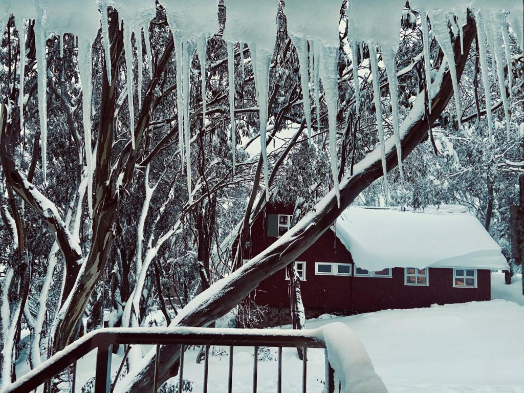 Feathertop Alpine Lodge зимой