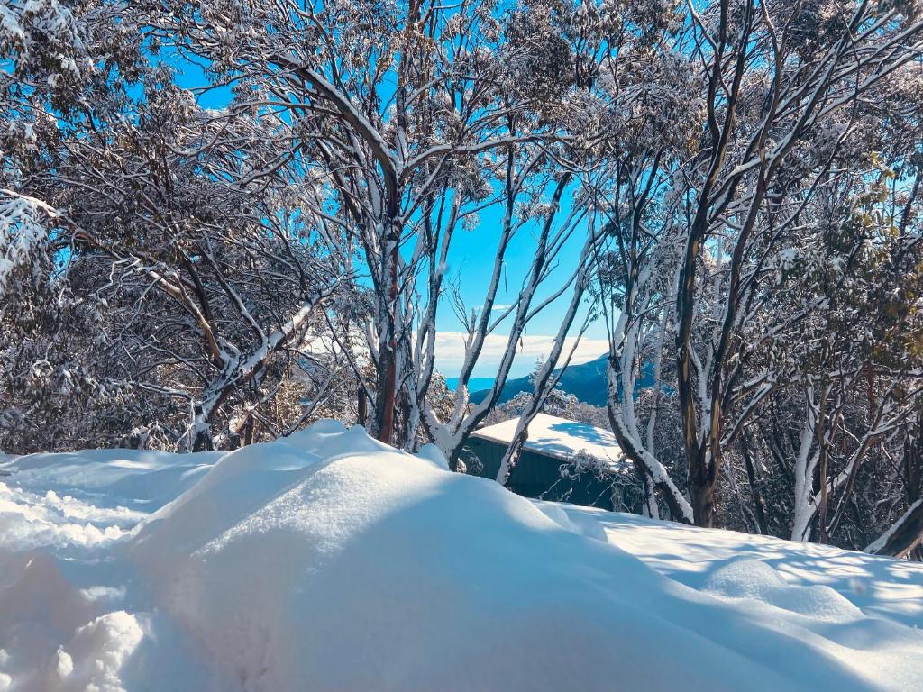 Feathertop Alpine Lodge зимой