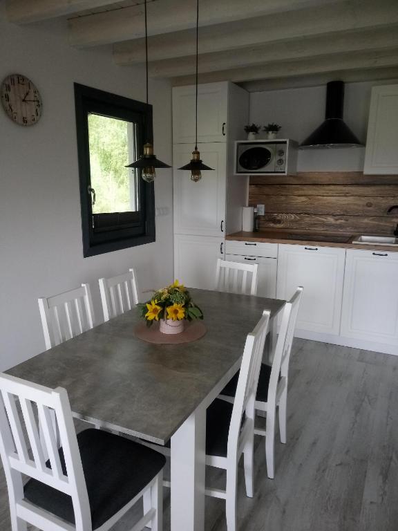 Kuchyň nebo kuchyňský kout v ubytování Domek na Kaszubach, Borowy Młyn, jezioro Gwiazda, sauna, 4
