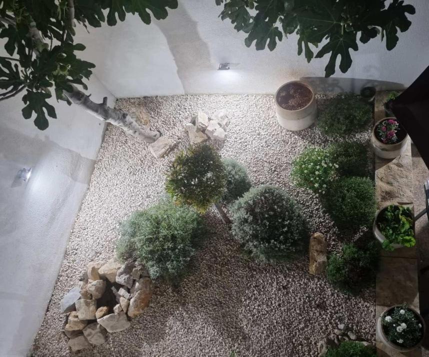 Zahrada ubytování Apartman Stella Rovanjska