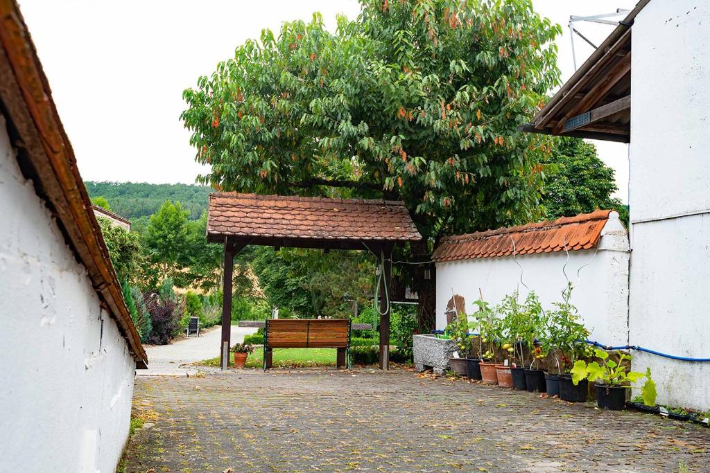 Zahrada ubytování Ferienwohnung Nesselbachtal
