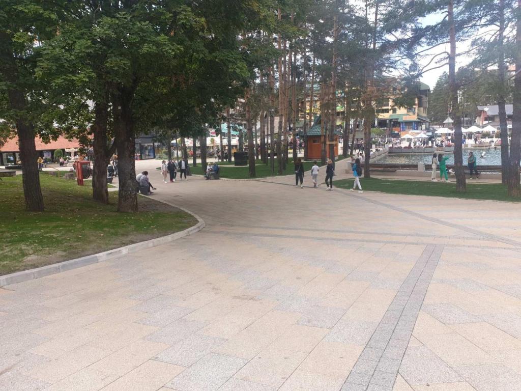 Standardna soba Zlatibor centar 205 - Resim 4