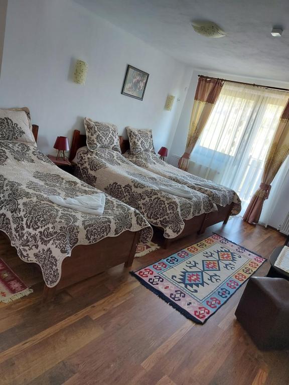 Postel nebo postele na pokoji v ubytování Pensiunea Albina