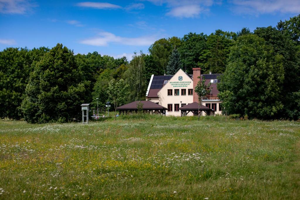 a large white house in a field of grass at Szumilas miejsce spotkań in Bydgoszcz