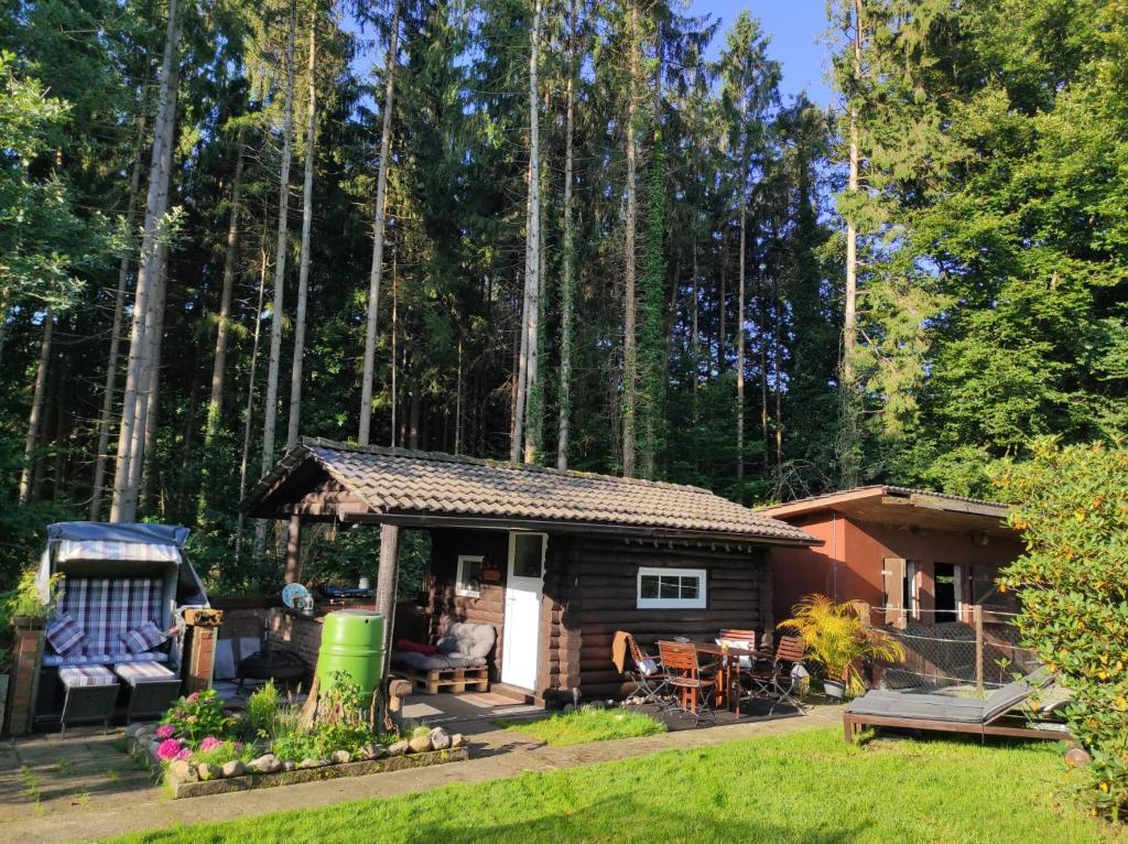 une petite cabine au milieu d'une forêt dans l'établissement Casa Foresta - minimalistisches 1-Raum Tiny House direkt am Wald, à Wingst