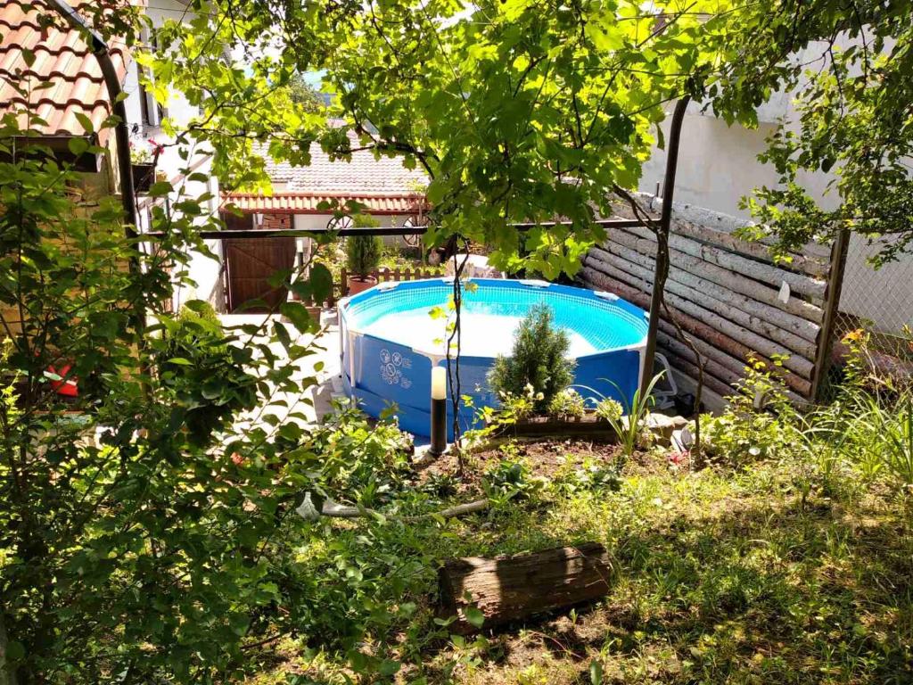 Swimmingpoolen hos eller tæt på Майсторът и Маргарита