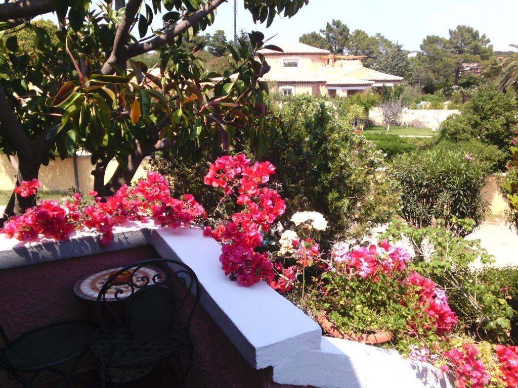 Zahrada ubytování Hotel Abbaruja